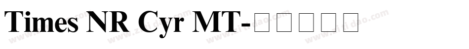 Times NR Cyr MT字体转换